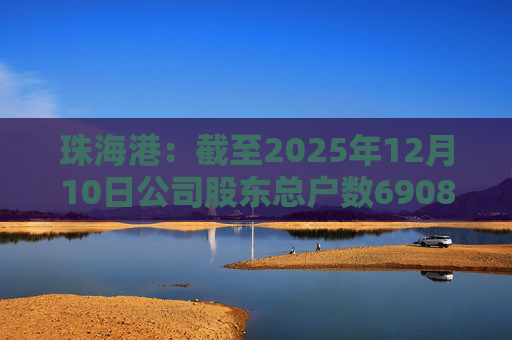 珠海港：截至2025年12月10日公司股东总户数69089户