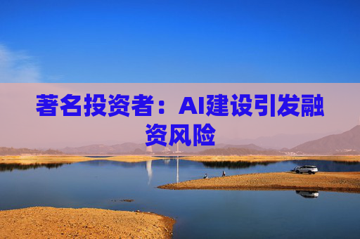 著名投资者：AI建设引发融资风险