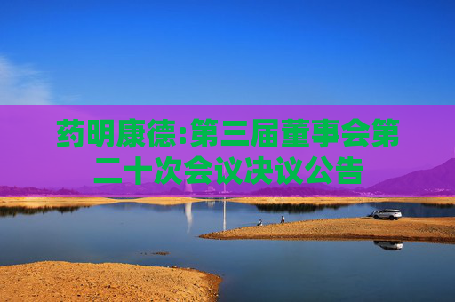 药明康德:第三届董事会第二十次会议决议公告