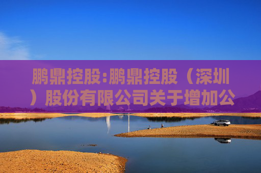 鹏鼎控股:鹏鼎控股（深圳）股份有限公司关于增加公司第三届董事会人数暨补选董事的公告