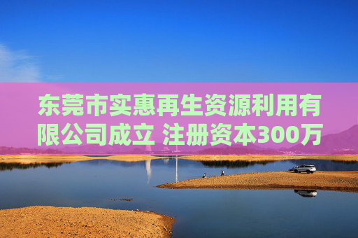 东莞市实惠再生资源利用有限公司成立 注册资本300万人民币
