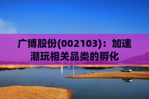 广博股份(002103)：加速潮玩相关品类的孵化