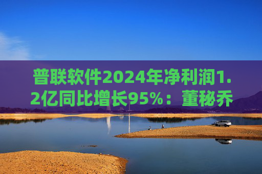 普联软件2024年净利润1.2亿同比增长95%：董秘乔海兵薪酬为116万元