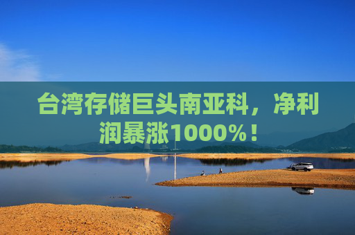 台湾存储巨头南亚科，净利润暴涨1000%！