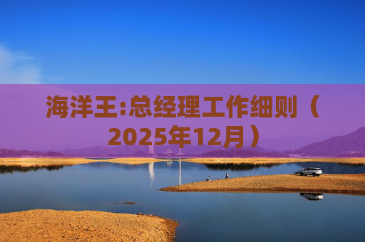 海洋王:总经理工作细则（2025年12月）