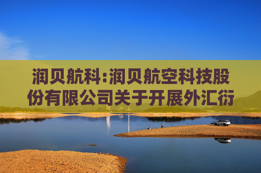 润贝航科:润贝航空科技股份有限公司关于开展外汇衍生品交易业务的公告  第1张