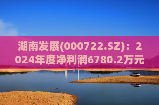湖南发展(000722.SZ)：2024年度净利润6780.2万元 拟10派0.5元