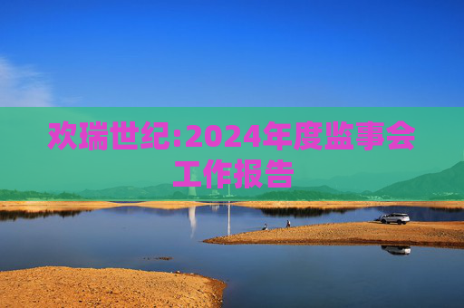 欢瑞世纪:2024年度监事会工作报告  第1张