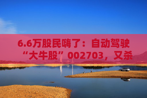 6.6万股民嗨了：自动驾驶“大牛股”002703，又杀回来了！