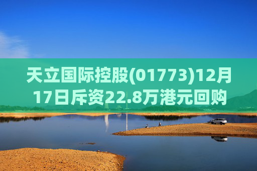 天立国际控股(01773)12月17日斥资22.8万港元回购10万股
