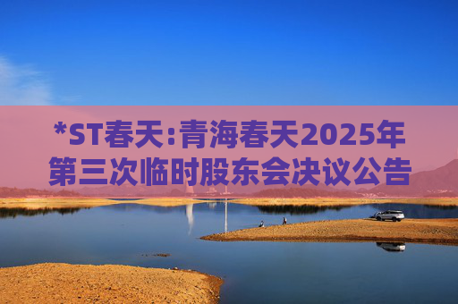 *ST春天:青海春天2025年第三次临时股东会决议公告