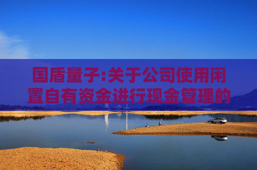 国盾量子:关于公司使用闲置自有资金进行现金管理的公告