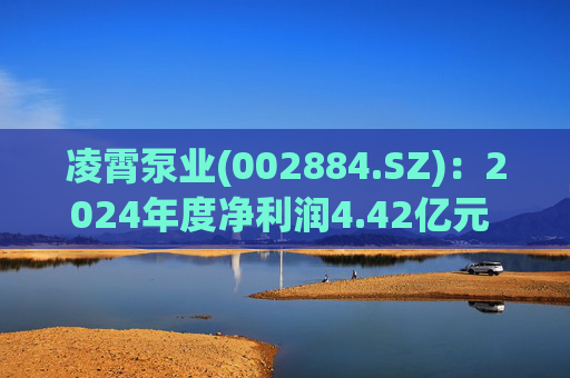 凌霄泵业(002884.SZ)：2024年度净利润4.42亿元 拟10派10元  第1张