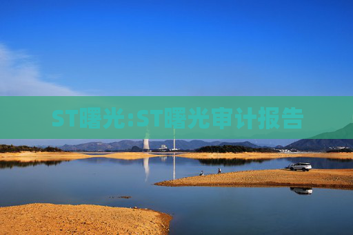 ST曙光:ST曙光审计报告  第1张