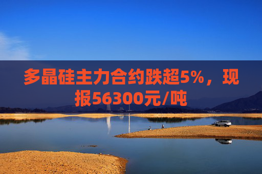 多晶硅主力合约跌超5%,现报56300元/吨