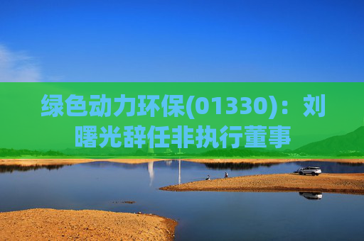 绿色动力环保(01330)：刘曙光辞任非执行董事  第1张