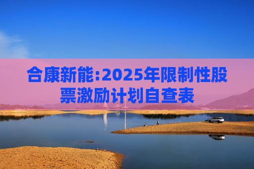 合康新能:2025年限制性股票激励计划自查表