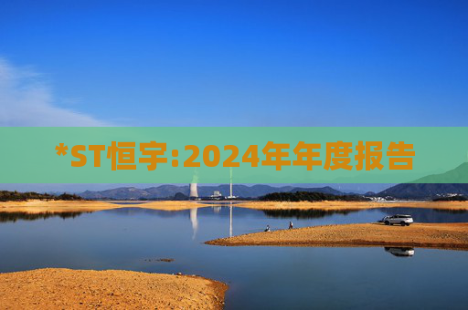 *ST恒宇:2024年年度报告