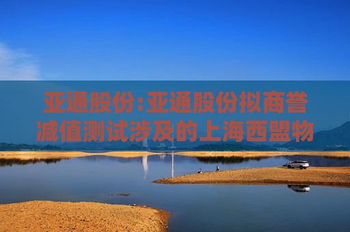 亚通股份:亚通股份拟商誉减值测试涉及的上海西盟物贸有限公司包含商誉资产组可收回金额评估报告  第1张