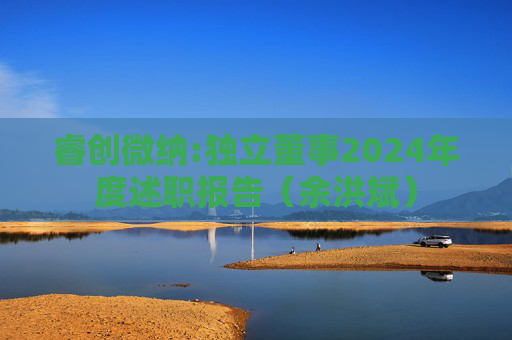 睿创微纳:独立董事2024年度述职报告（余洪斌）