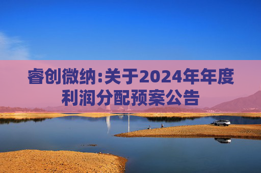 睿创微纳:关于2024年年度利润分配预案公告