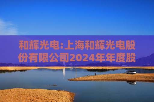 和辉光电:上海和辉光电股份有限公司2024年年度股东大会会议资料