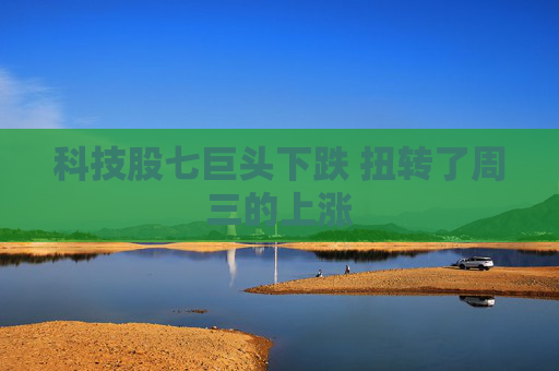 科技股七巨头下跌 扭转了周三的上涨