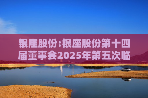 银座股份:银座股份第十四届董事会2025年第五次临时会议决议公告
