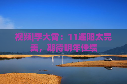 视频|李大霄：11连阳太完美，期待明年佳绩