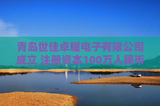 青岛世佳卓耀电子有限公司成立 注册资本100万人民币