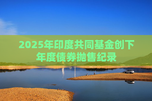 2025年印度共同基金创下年度债券抛售纪录