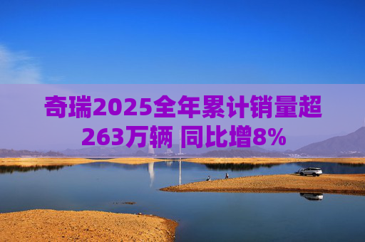 奇瑞2025全年累计销量超263万辆 同比增8%