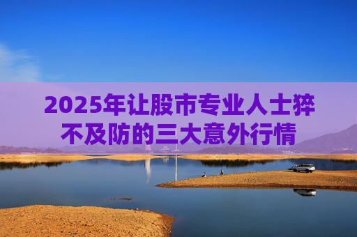 2025年让股市专业人士猝不及防的三大意外行情