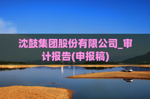 沈鼓集团股份有限公司_审计报告(申报稿)