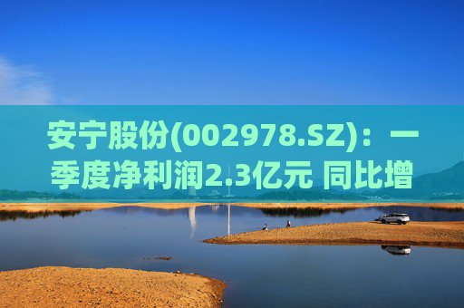 安宁股份(002978.SZ)：一季度净利润2.3亿元 同比增长0.02%