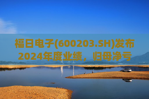 福日电子(600203.SH)发布2024年度业绩，归母净亏损3.84亿元  第1张