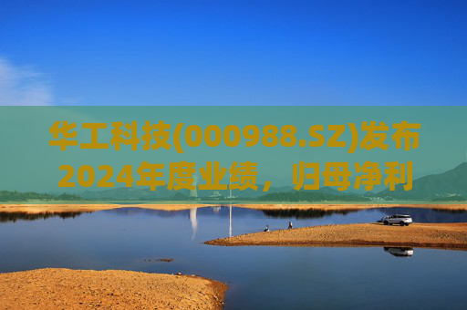华工科技(000988.SZ)发布2024年度业绩，归母净利润12.21亿元，同比增长21.17%  第1张