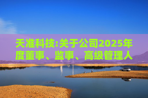 天准科技:关于公司2025年度董事、监事、高级管理人员薪酬方案的公告