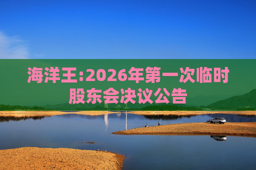 海洋王:2026年第一次临时股东会决议公告