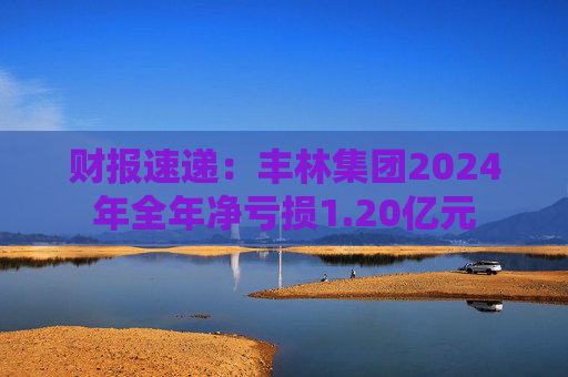 财报速递：丰林集团2024年全年净亏损1.20亿元