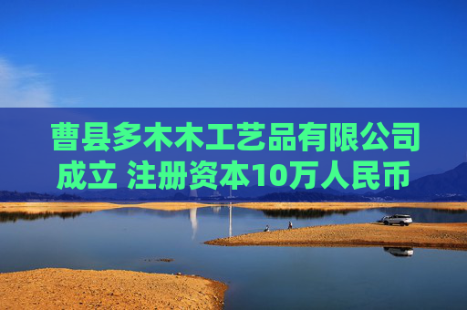 曹县多木木工艺品有限公司成立 注册资本10万人民币