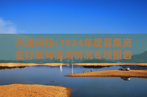 天准科技:2024年度募集资金存放与使用情况专项报告  第1张