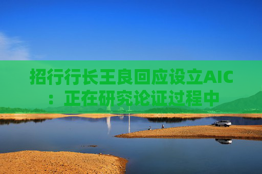 招行行长王良回应设立AIC：正在研究论证过程中  第1张