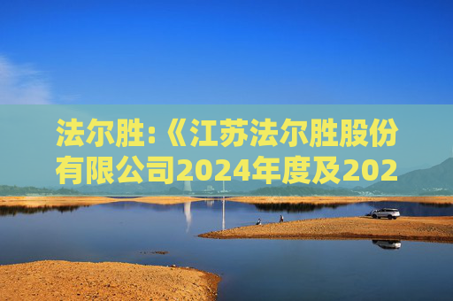 法尔胜:《江苏法尔胜股份有限公司2024年度及2025年1-9月备考财务报表审阅报告》（中兴华阅字（2026）第00000001号）