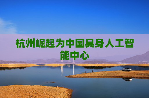 杭州崛起为中国具身人工智能中心