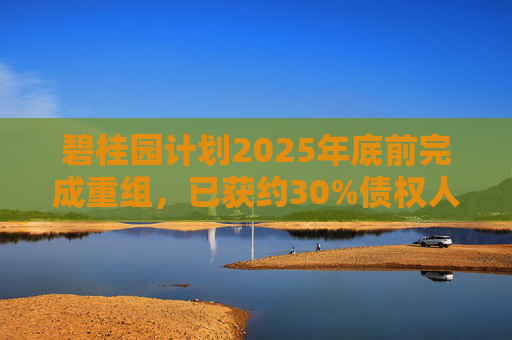 碧桂园计划2025年底前完成重组，已获约30%债权人支持  第1张