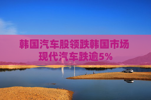 韩国汽车股领跌韩国市场 现代汽车跌逾5%  第1张