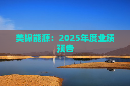 美锦能源：2025年度业绩预告