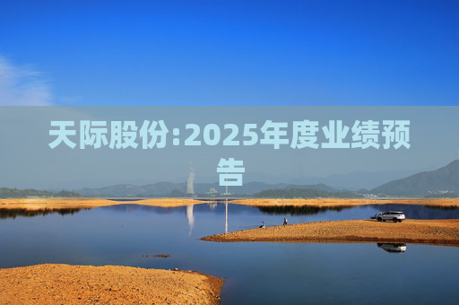 天际股份:2025年度业绩预告