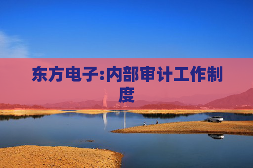 东方电子:内部审计工作制度